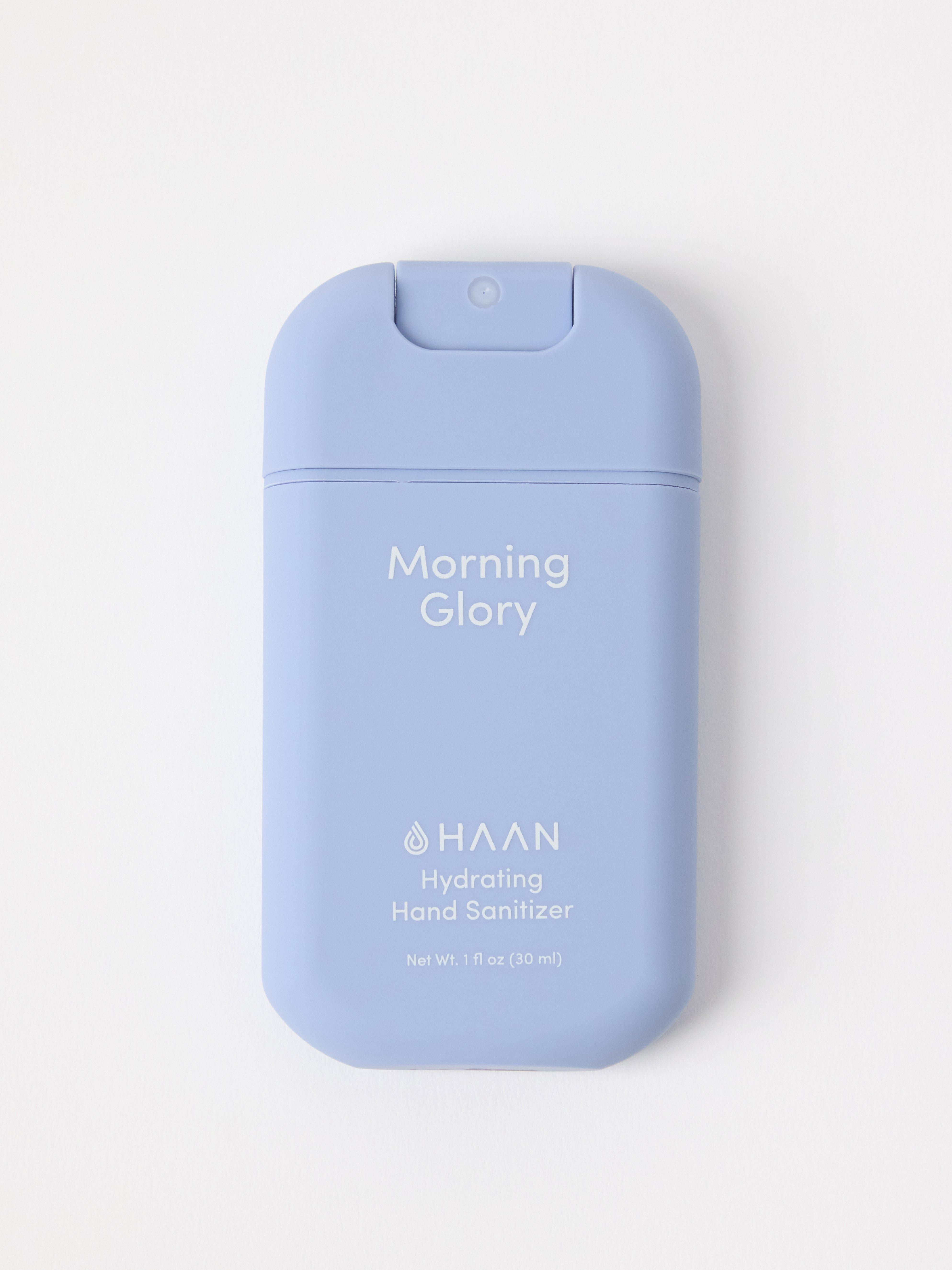 MORNING GLORY