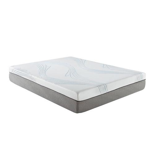 12" Tight Top Plush Queen Latex Foam Mattress in a Box