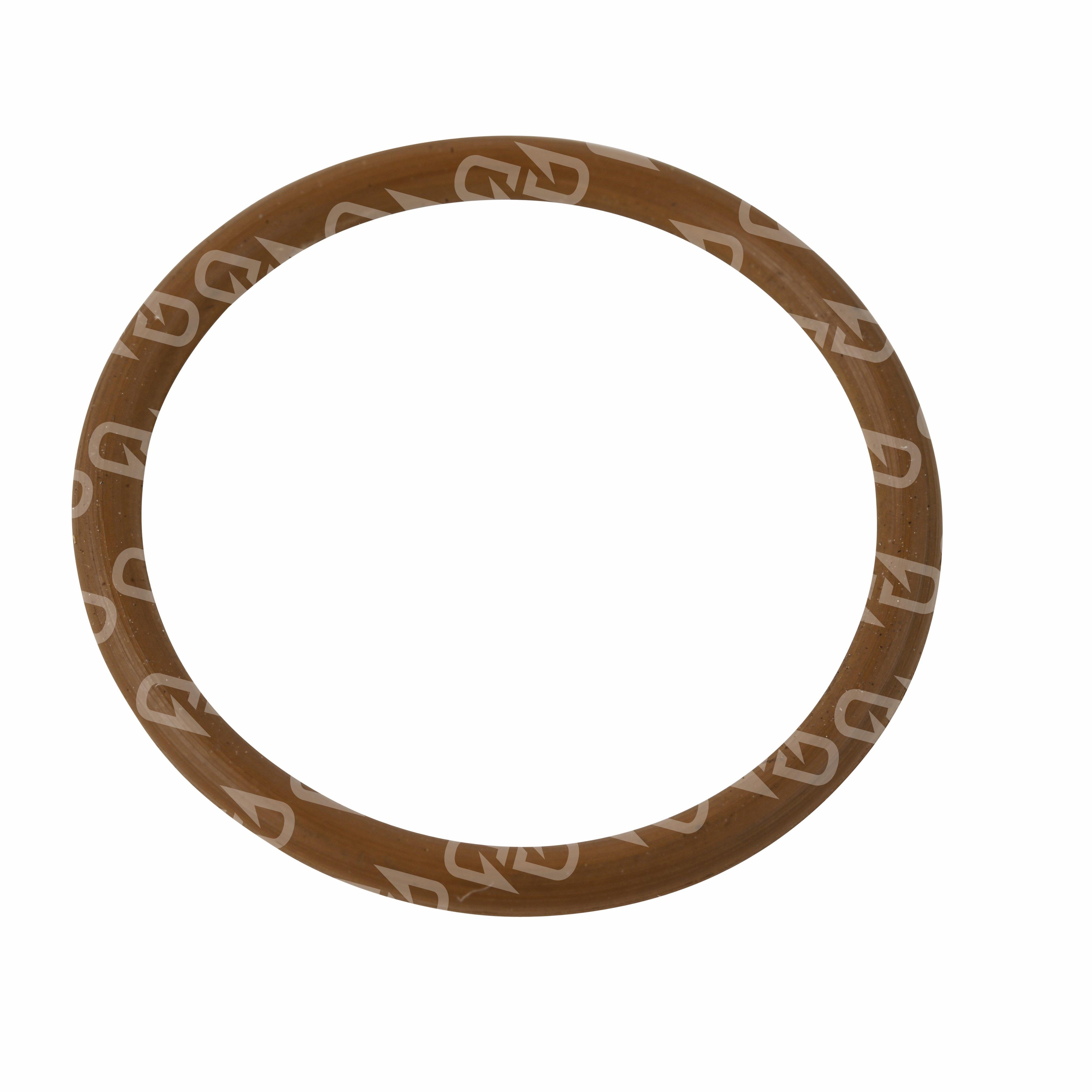 MTU Seal Ring, 18.8 ID x 1.78 5319972445 | Diesel Dash