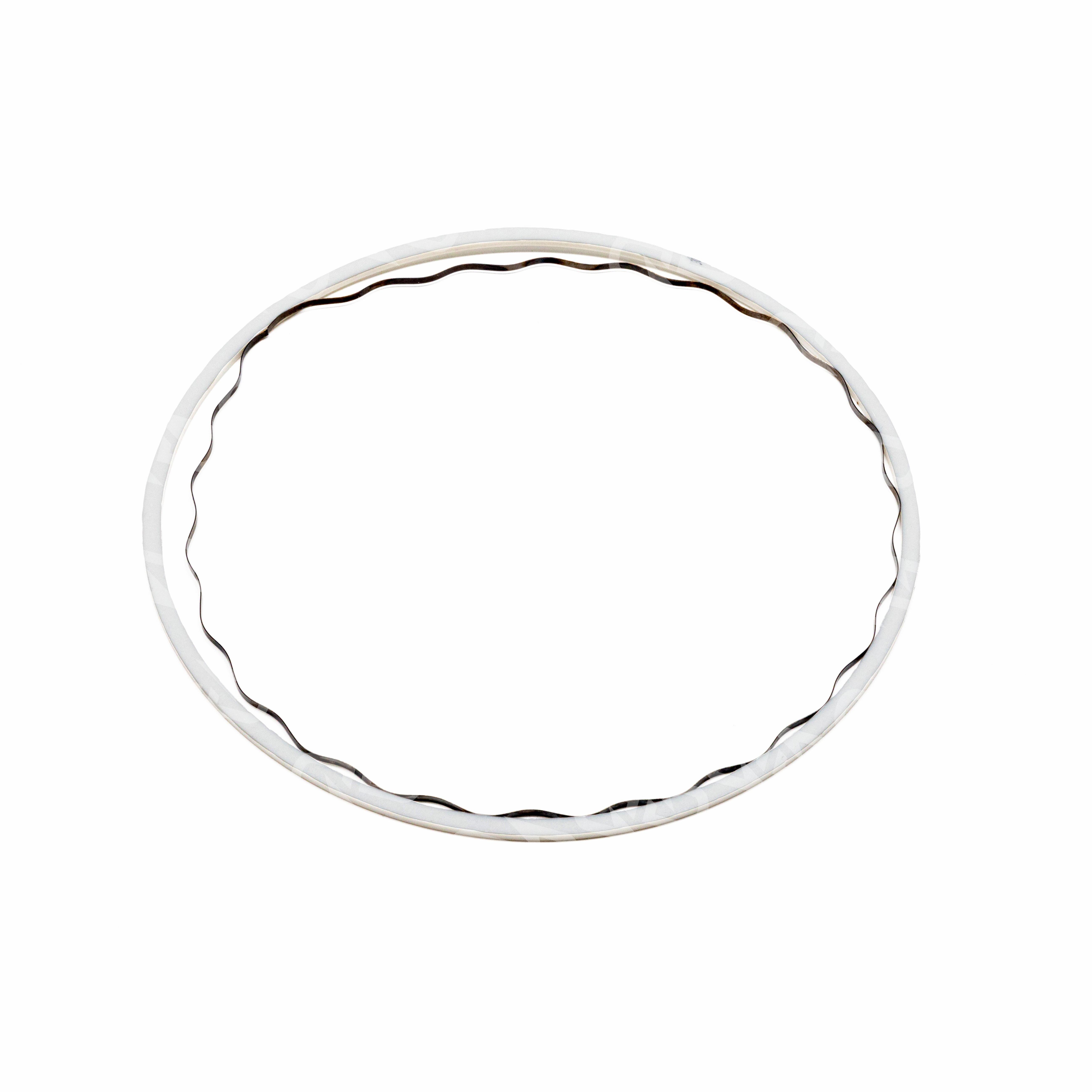 Allison Transmission Seal Ring and Expander Kit, 6.456 in ID 6777994