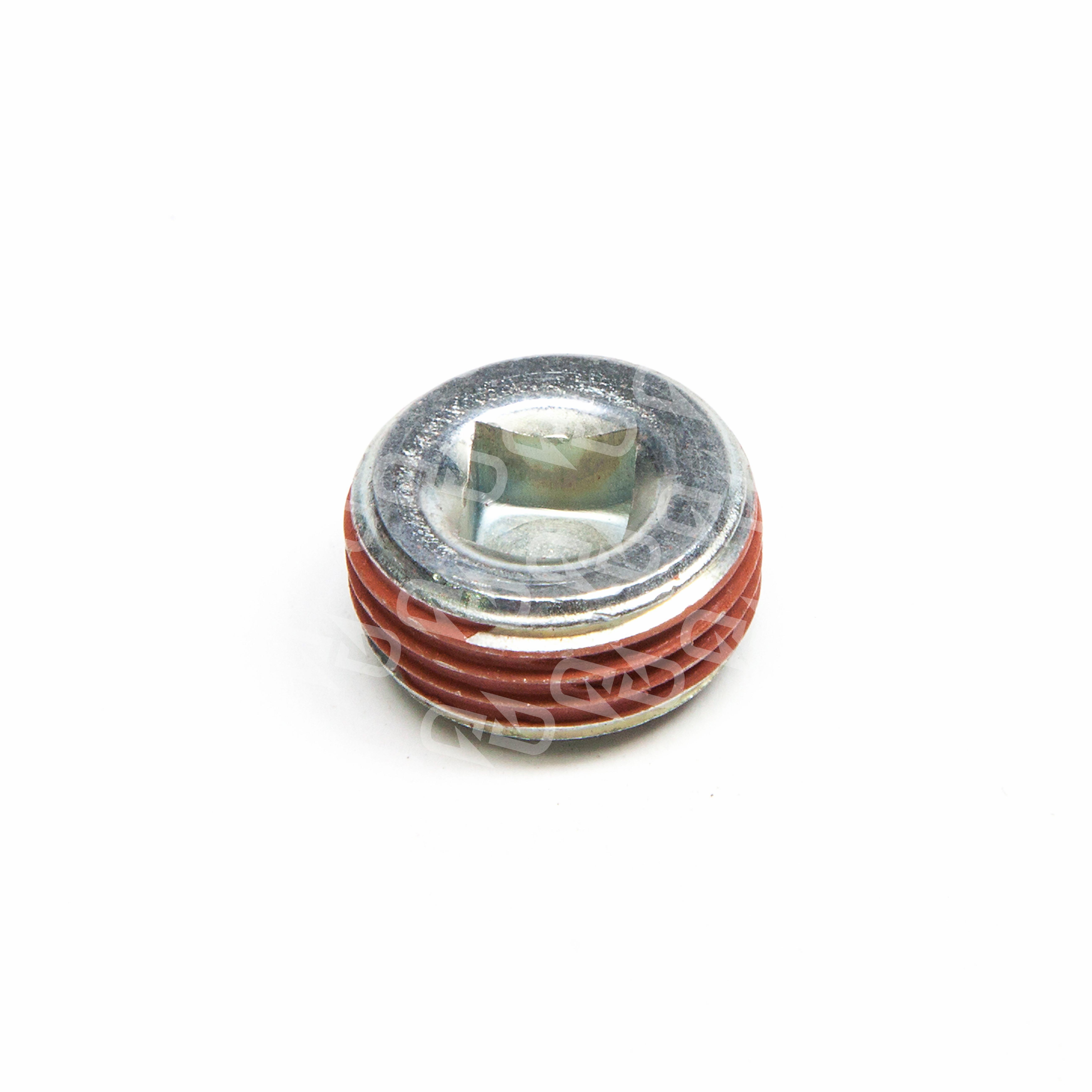 Daimler/Detroit Square Socket Head Pipe Plug DDE 08924517 | Diesel 