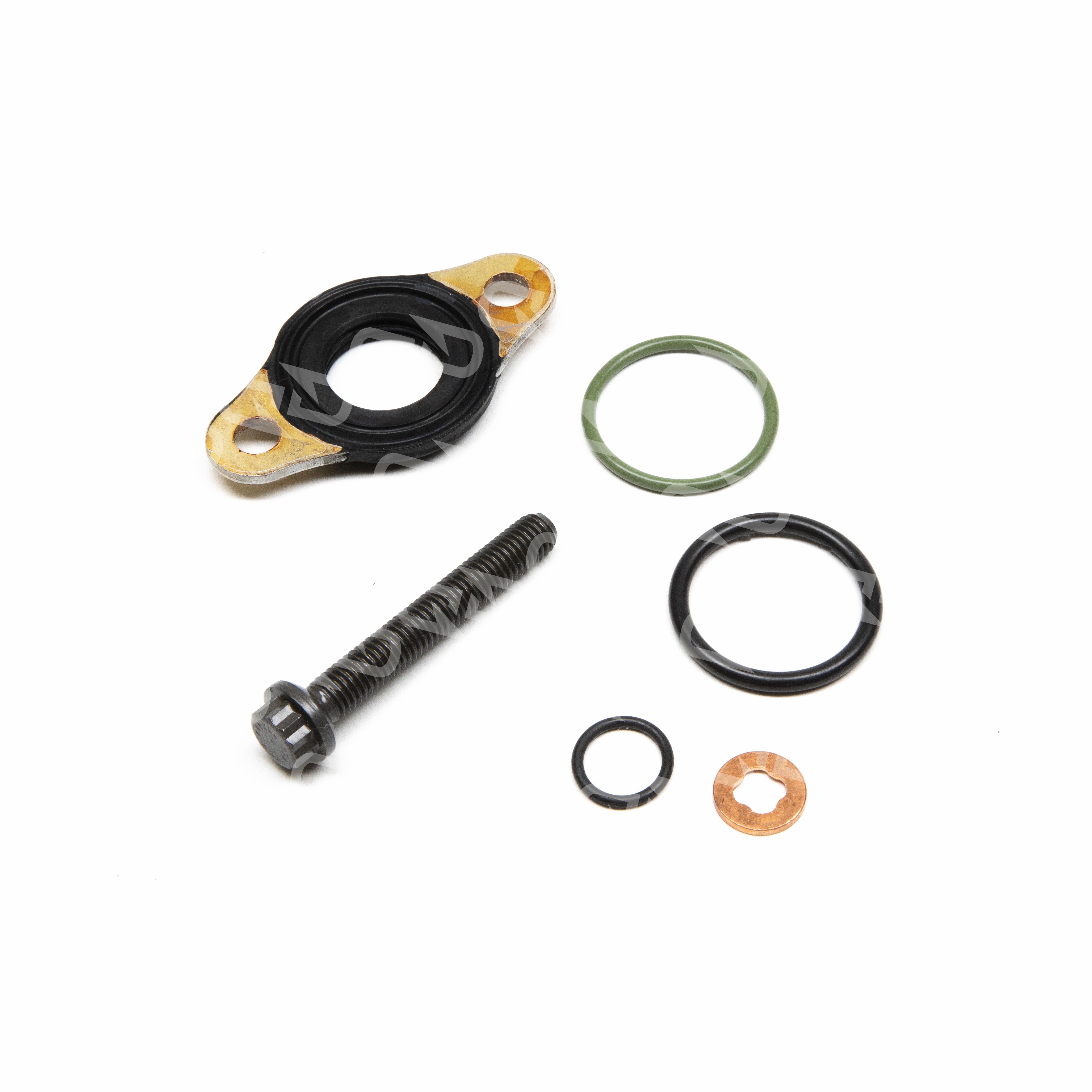 Daimler/Detroit Injector O-rings, Seals, and Bolt Kit