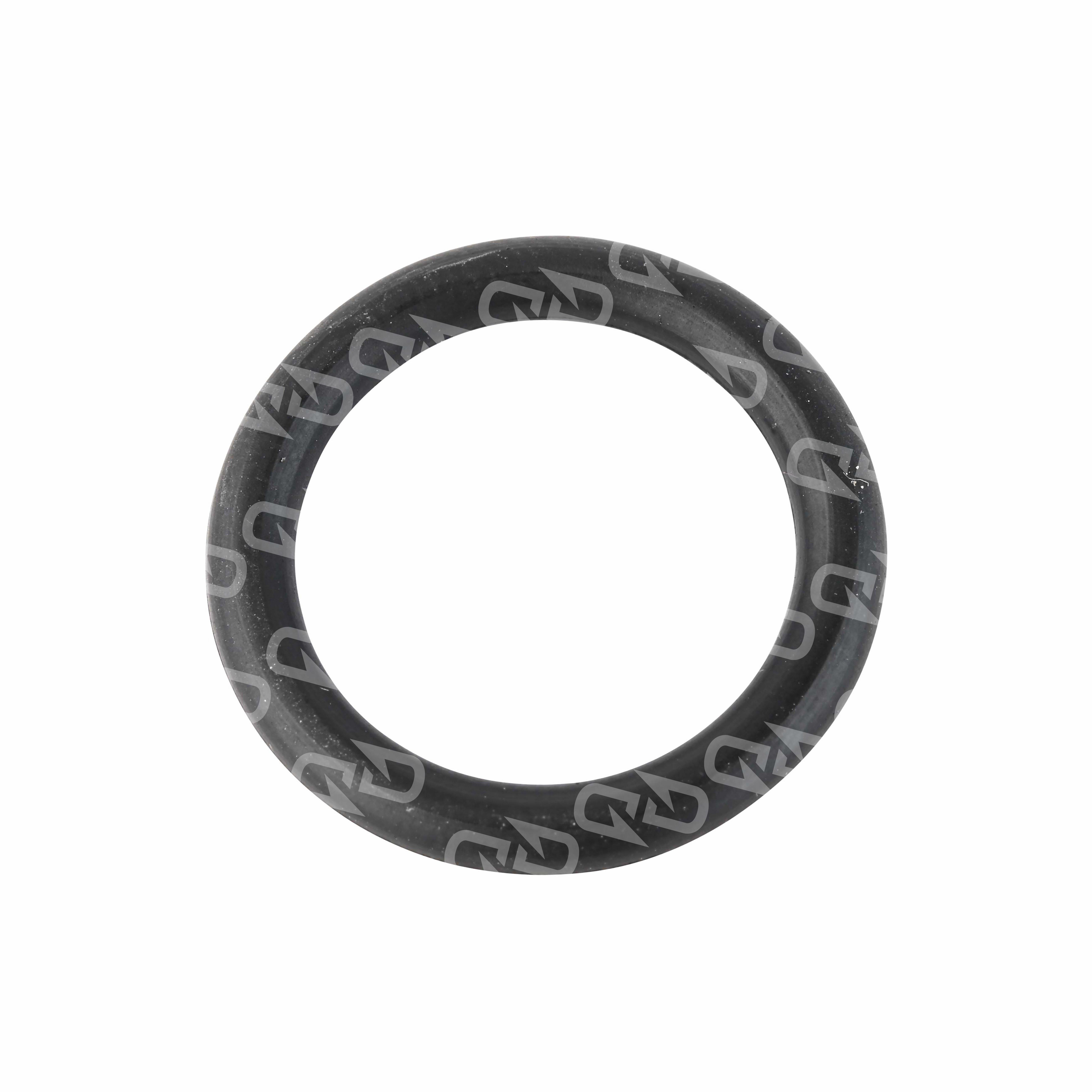 Detroit Seal Ring DDE A6069971645 | Diesel Dash