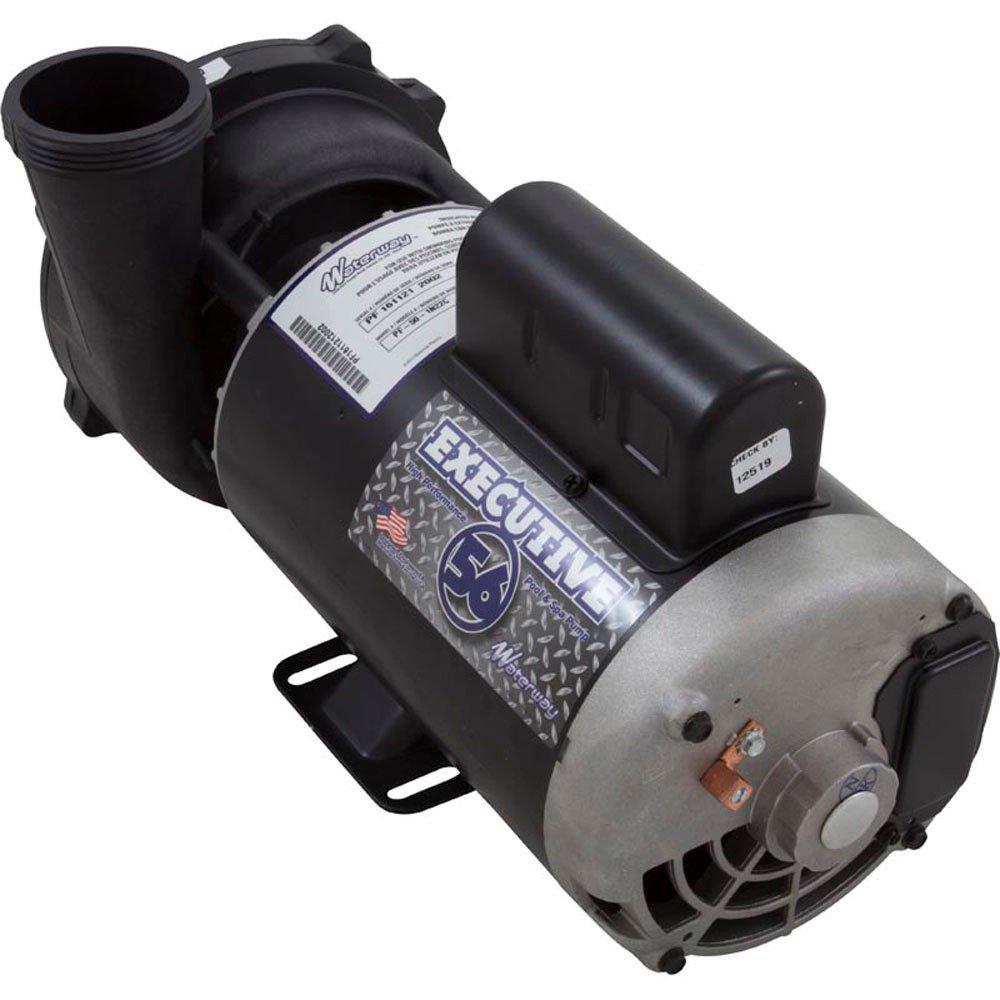 Executive 56-frame 5hp Single-speed Spa Pump, 2-1/2in. Intake, 2in. Discharge, 230v