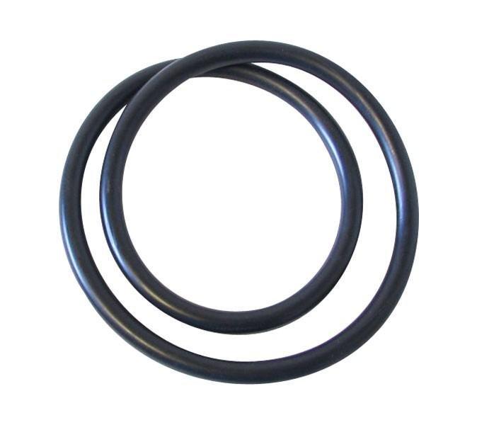 Starclear Ii Cartridge Filter Head O-ring