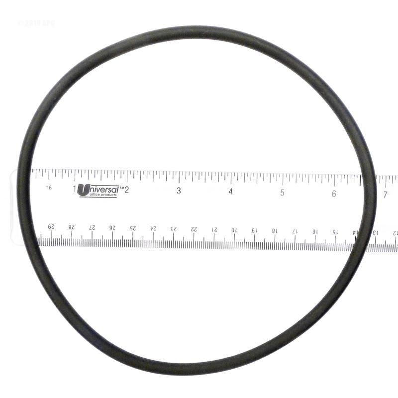 Replacement O-ring Lid (a)