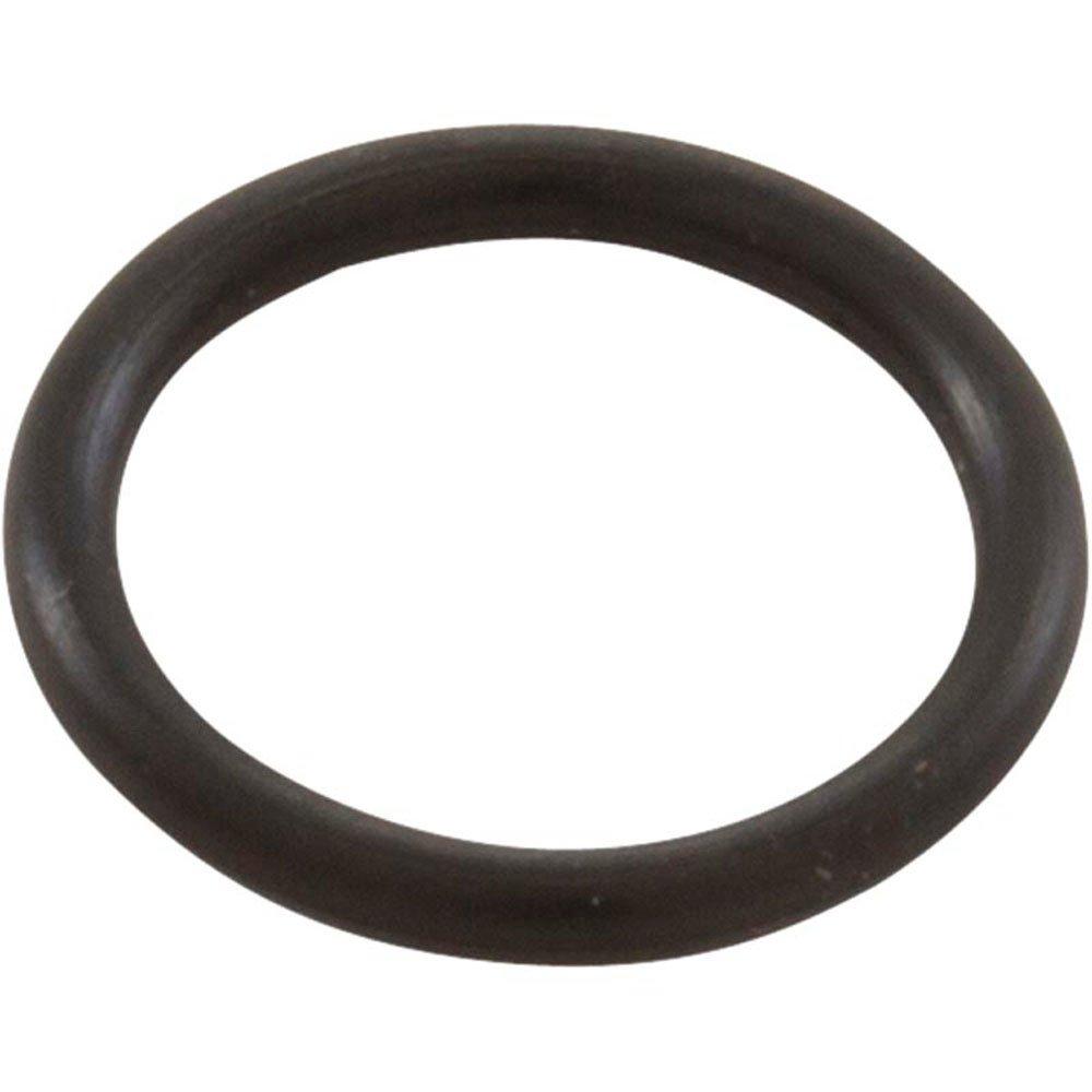 Pentair O Ring for Hose Connector 2pk