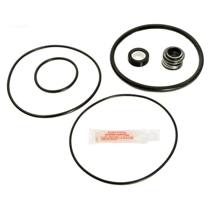 Pump Repair Kit W/seals, O-rings