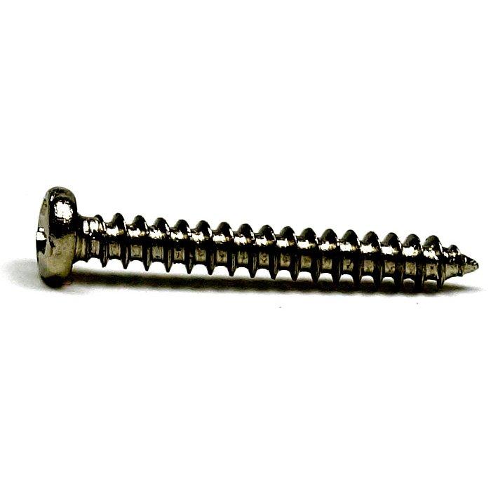 Hot Tub Works Type A Self Tapping Screw