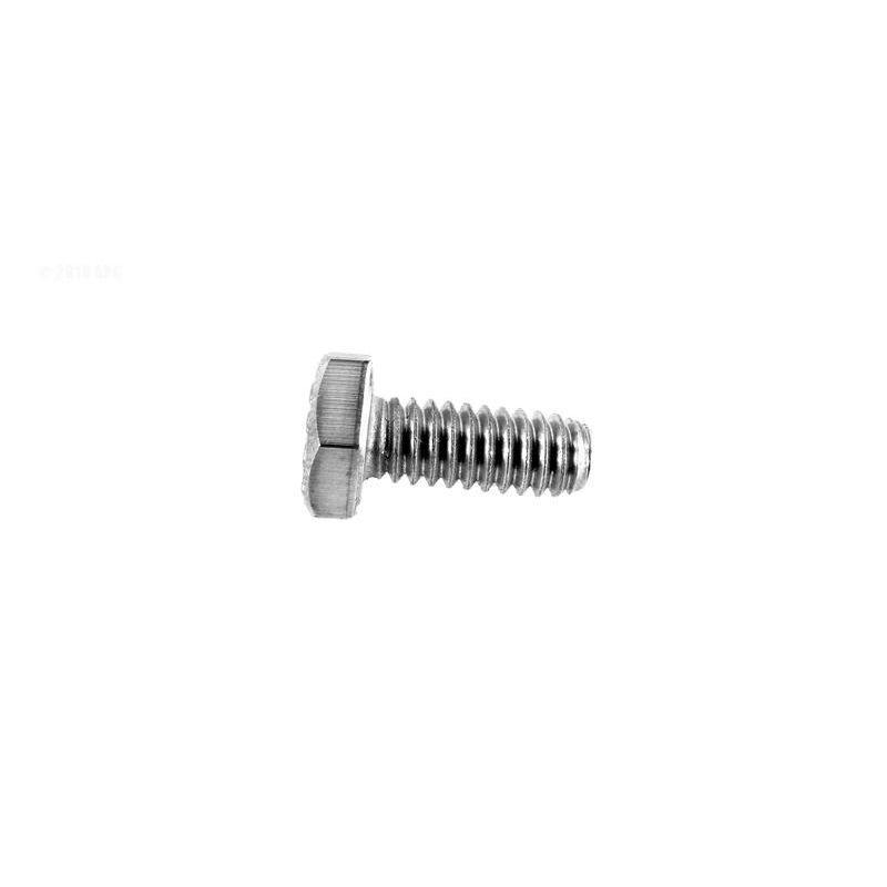 Pentair Screw 14 20 x 58in Hh SS