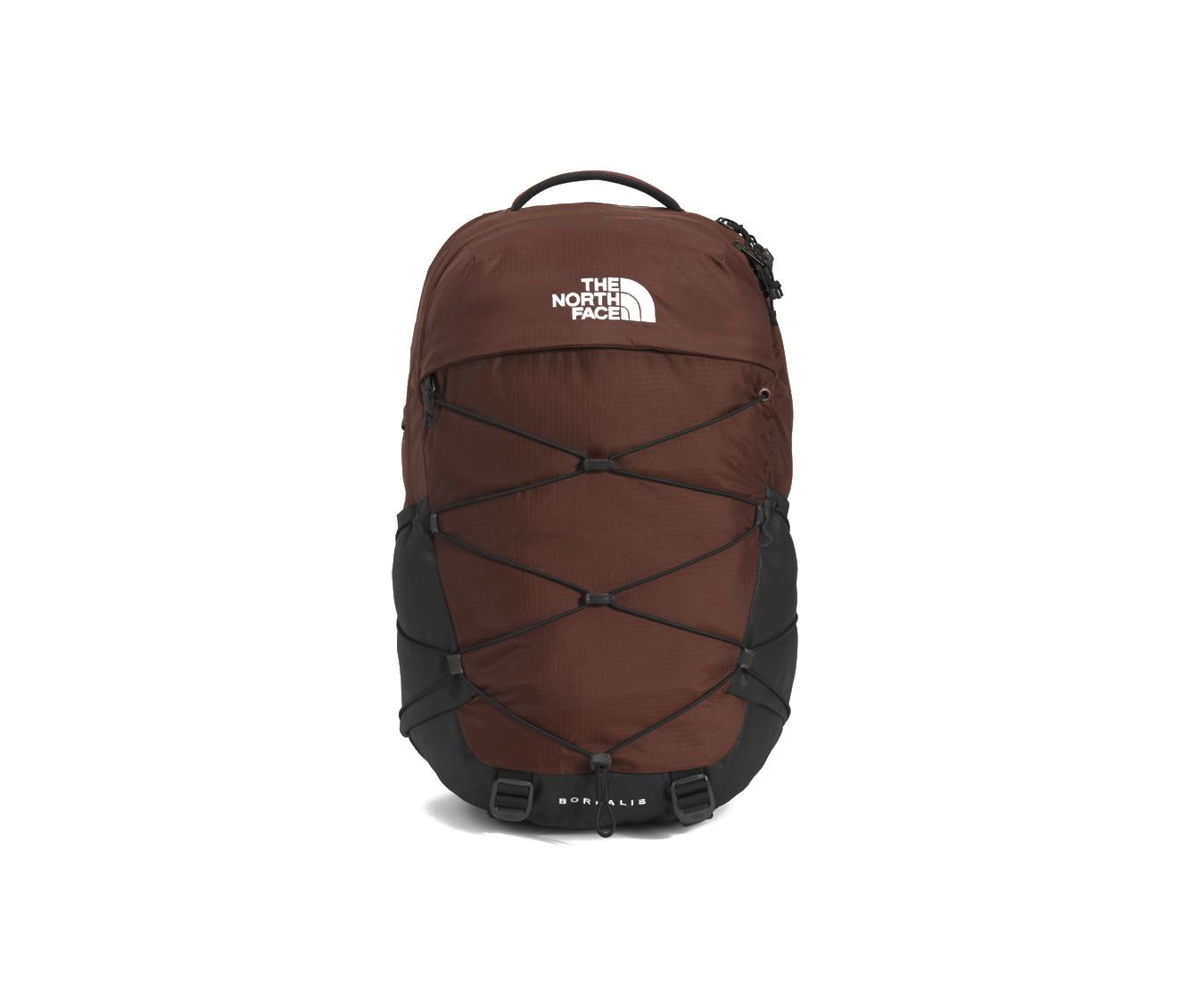 仲野太賀 / THE NORTH FACE - ON THE ROAD NORTH FACE | Shoe Station