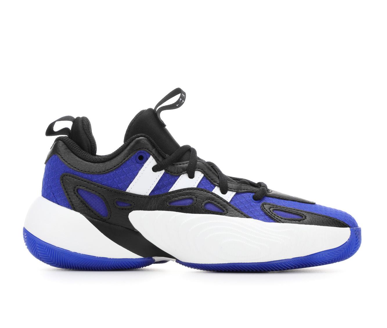 Signature Basketball Shoes Lebron, Giannis, KD Shoe Carnival