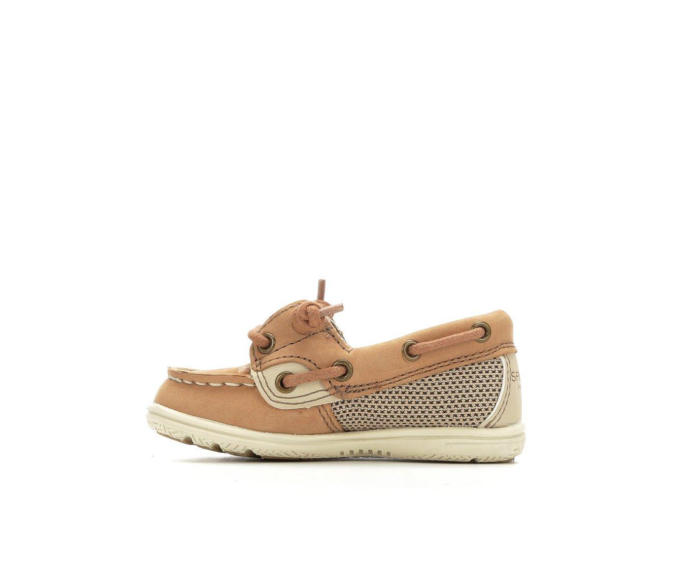 sperry shoresider jr