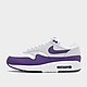 Purple Nike Air Max 1