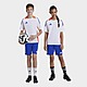 Blue/White adidas Wales Tiro 24 Training Shorts Junior