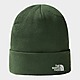 Green The North Face Norm Beanie