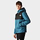 Blue The North Face Mountain Q Jacket