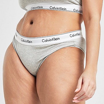 Calvin Klein Underwear Modern Cotton Plus Size Briefs
