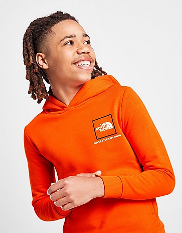 The North Face Back Multi Dome Graphic Hoodie Junior