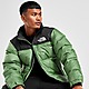 Green/Black The North Face Nuptse 1996 Jacket