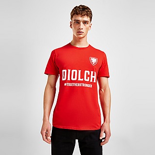Official Team Wales Diolch T-Shirt