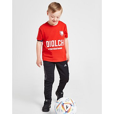 Official Team Wales Diolch T-Shirt Junior