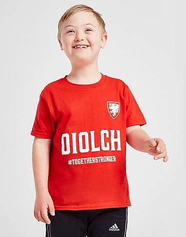 Official Team Wales Diolch T-Shirt Junior