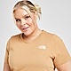 Brown The North Face Plus Size Simple Dome T-Shirt
