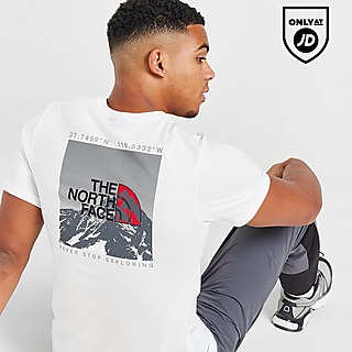 The North Face Back Mountain Graphic T-Shirt