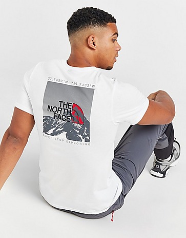 The North Face Back Mountain Graphic T-Shirt