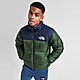 Green The North Face Nuptse 1996 Jacket