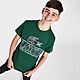 Green Lacoste Croc Graphic T-Shirt Junior