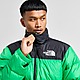 Green The North Face Nuptse 1996 Jacket