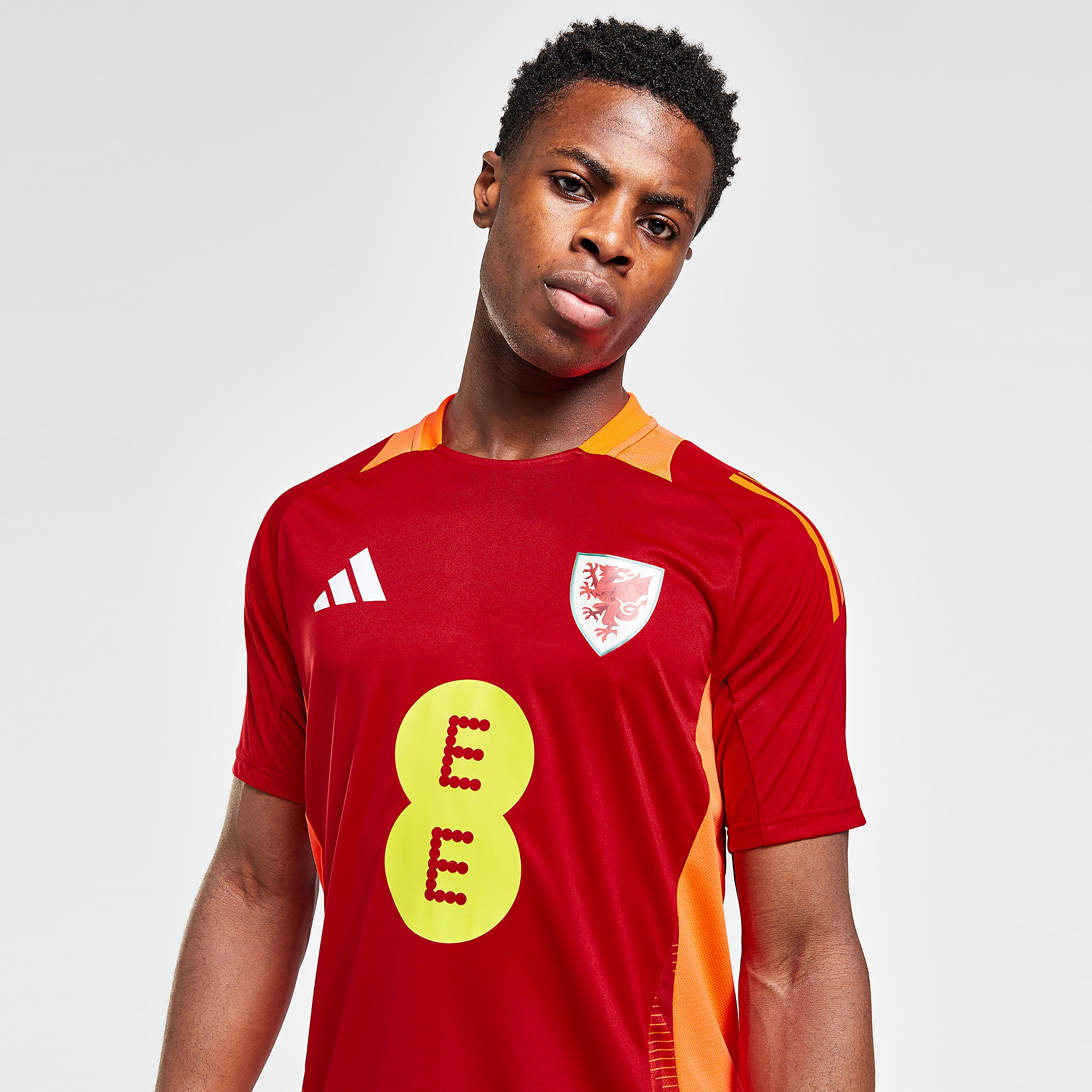 adidas Wales Tiro 24 Training Shirt