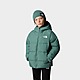 Green The North Face Reversible North Down Jacket Junior