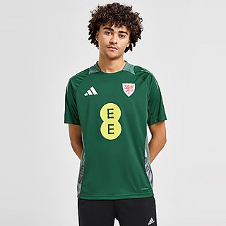 adidas Wales Tiro 24 Training Shirt