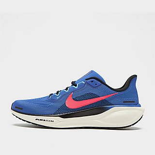 Nike Pegasus 41