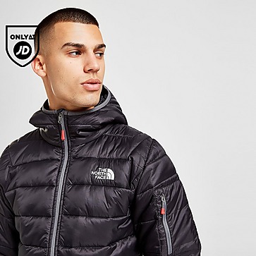 The North Face Aconcagua Synthetic Jacket