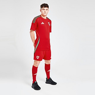 adidas Wales 2024 Heim Shorts