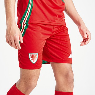 adidas Wales 2024 Heim Shorts Kinder