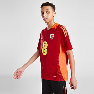 adidas Wales Tiro 24 Trainings-Shirt Kinder