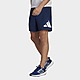 Blau/Weiss adidas Train Essentials Logo Training Shorts