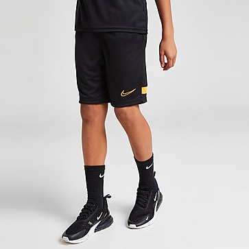 Nike Academy 21 Shorts Kinder
