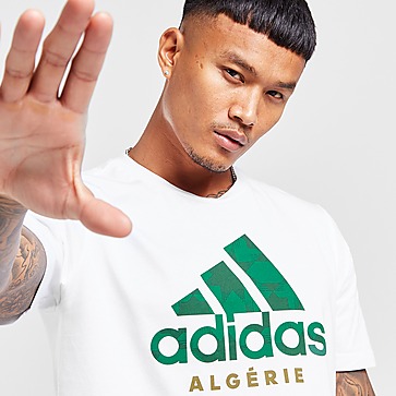 adidas Algerien DNA Graphic T-Shirt Herren