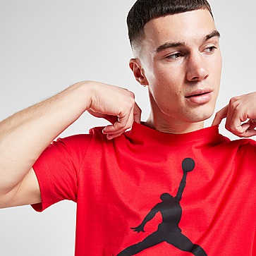 Jordan NBA Chicago Bulls Essential T-Shirt Herren