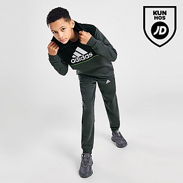 adidas Linear Badge of Sport Logo Hættetrøje Junior