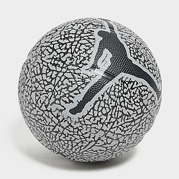 Jordan balón de baloncesto Skills