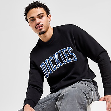 Dickies Sweat Aitkin Homme