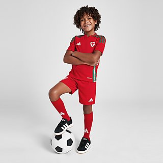 adidas Wales 2024 Home Kit Children