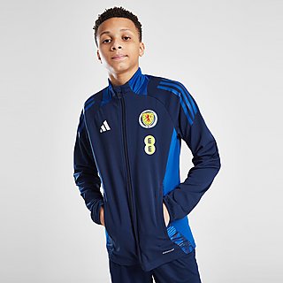 adidas Scotland Tiro 24 Training Jacket Junior